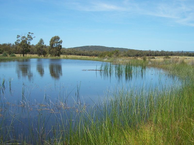 719 Old Coach Road, Swansea TAS 7190