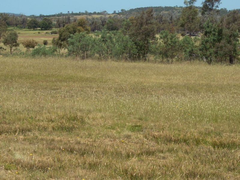 719 Old Coach Road, Swansea TAS 7190