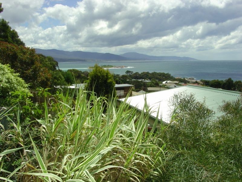 17 Levy Street, Bicheno TAS 7215