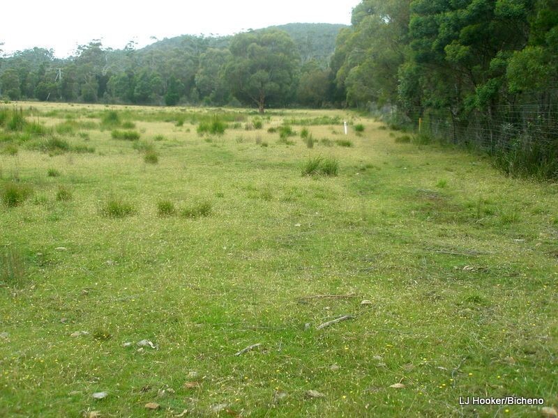 200 Rosedale Road, Bicheno TAS 7215