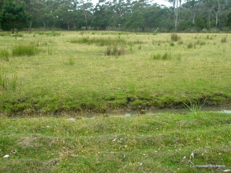 200 Rosedale Road, Bicheno TAS 7215