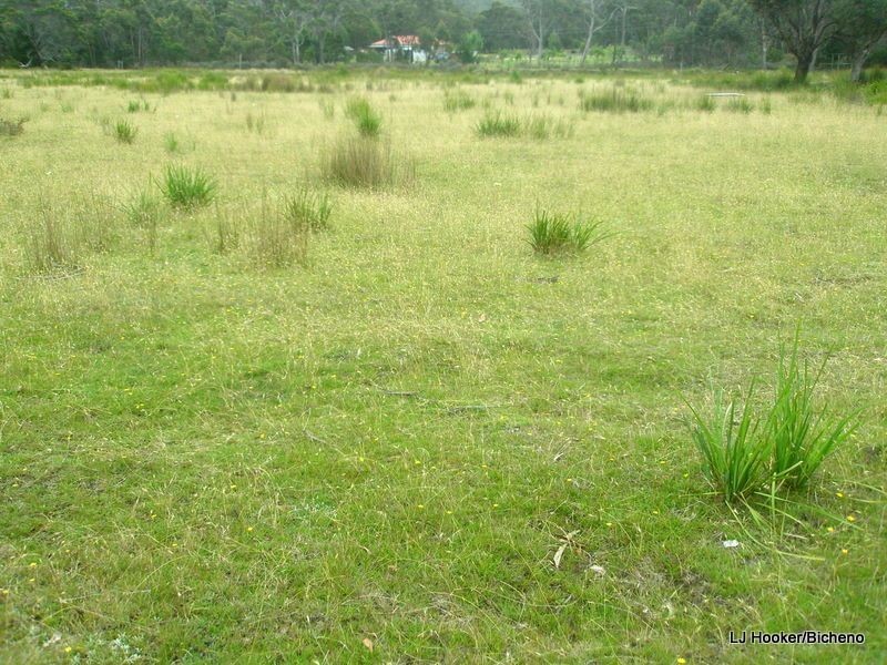 200 Rosedale Road, Bicheno TAS 7215