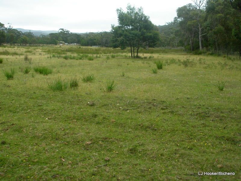 200 Rosedale Road, Bicheno TAS 7215