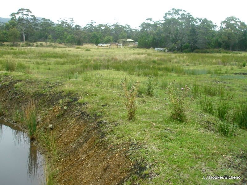 200 Rosedale Road, Bicheno TAS 7215