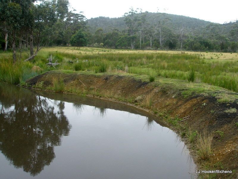 200 Rosedale Road, Bicheno TAS 7215