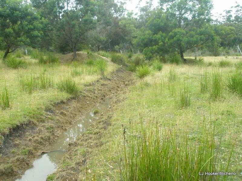 200 Rosedale Road, Bicheno TAS 7215