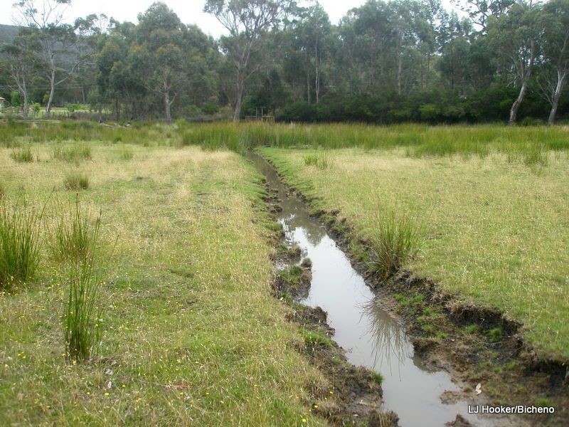 200 Rosedale Road, Bicheno TAS 7215