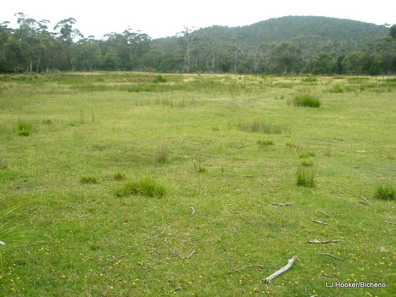 200 Rosedale Road, Bicheno TAS 7215