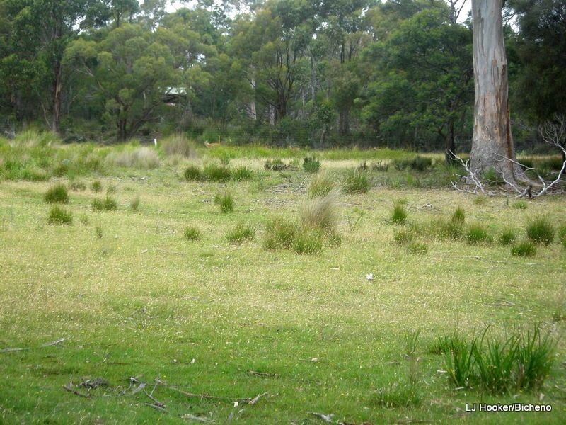 200 Rosedale Road, Bicheno TAS 7215