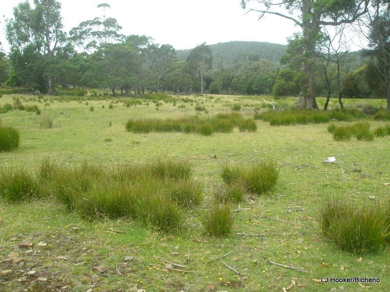 200 Rosedale Road, Bicheno TAS 7215