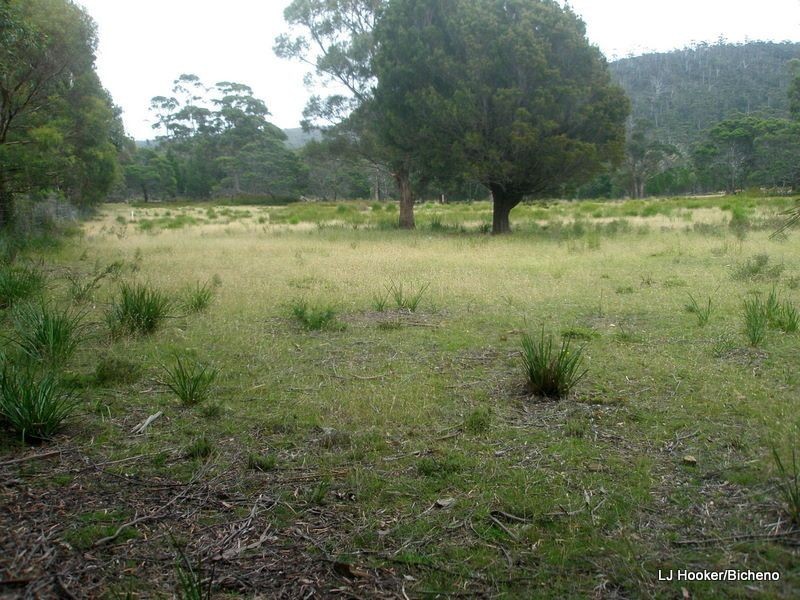 200 Rosedale Road, Bicheno TAS 7215