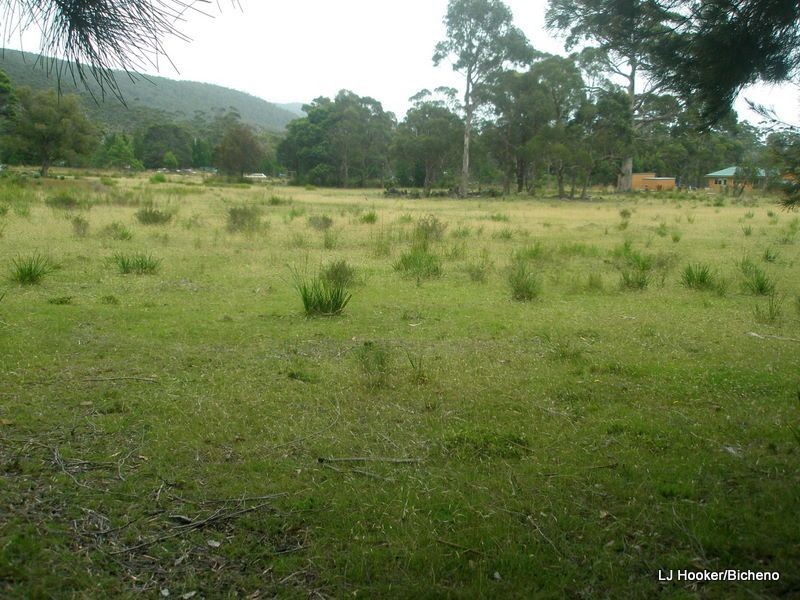 200 Rosedale Road, Bicheno TAS 7215