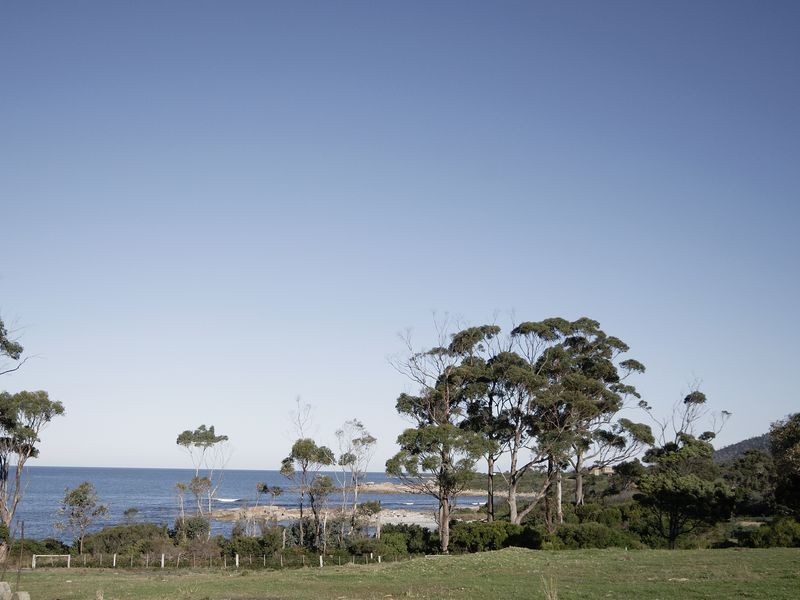 65 Harveys Farm Road, Bicheno TAS 7215