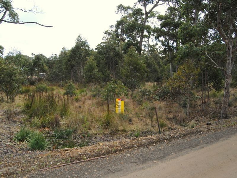 33 Brewis Place, Lake Leake TAS 7210