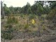 33 Brewis Place, Lake Leake TAS 7210