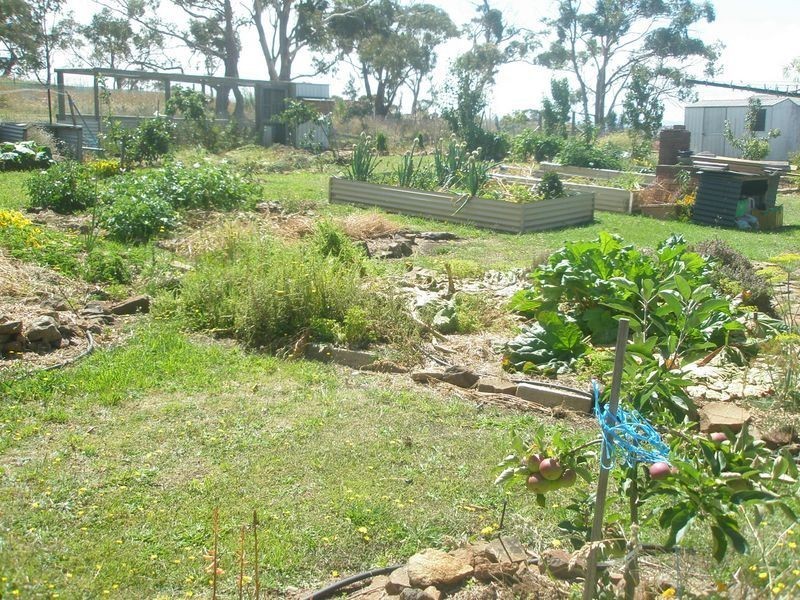 16 Cathcart Street, Swansea TAS 7190