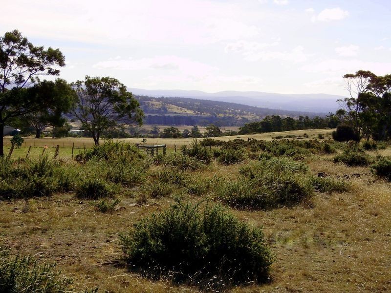 14 Cathcart Street, Swansea TAS 7190