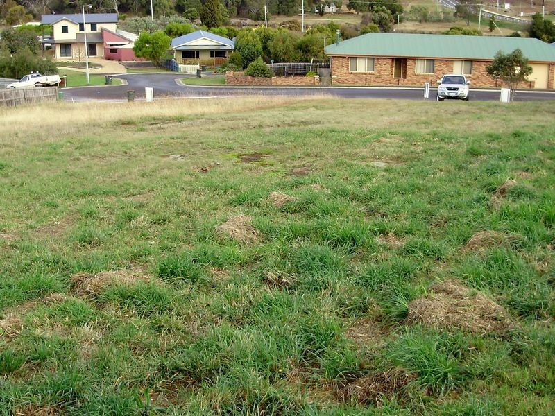 10 Cooks Court, Swansea TAS 7190
