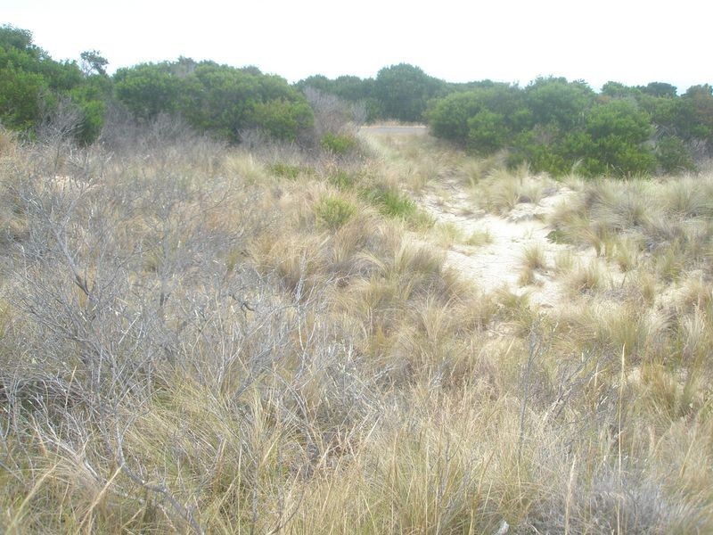 Lot 173 Dolphin Sands, Dolphin Sands TAS 7190