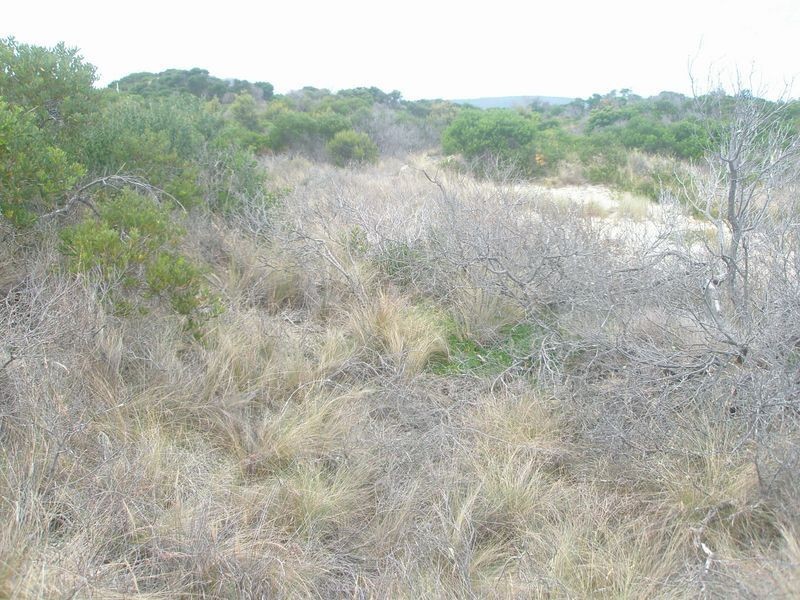 Lot 173 Dolphin Sands, Dolphin Sands TAS 7190