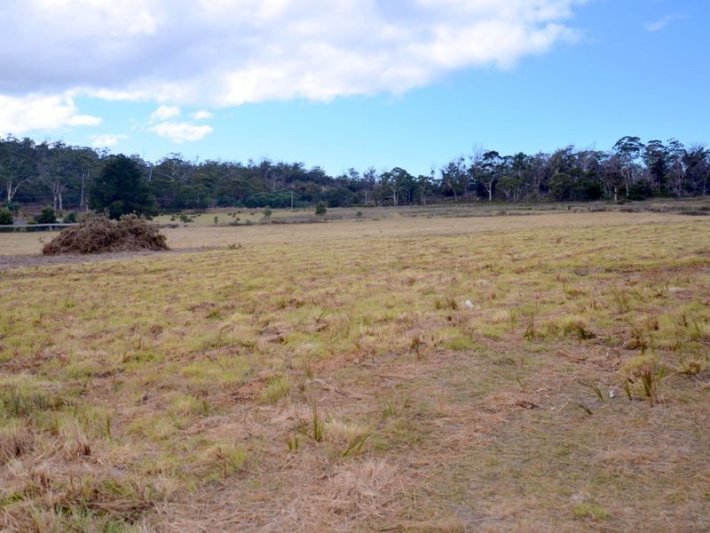 Lot 1 Tasman Highway, Little Swanport TAS 7190