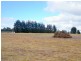 Lot 1 Tasman Highway, Little Swanport TAS 7190