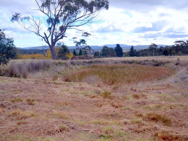 Lot 1 Tasman Highway, Little Swanport TAS 7190
