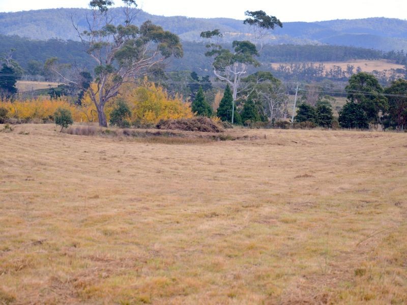 Lot 1 Tasman Highway, Little Swanport TAS 7190
