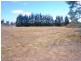 Lot 1 Tasman Highway, Little Swanport TAS 7190
