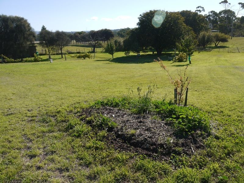 13511 Tasman Highway, Swansea TAS 7190