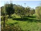13511 Tasman Highway, Swansea TAS 7190