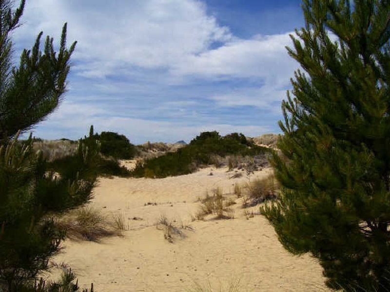 6 Yellow Sandbanks Road, Dolphin Sands TAS 7190