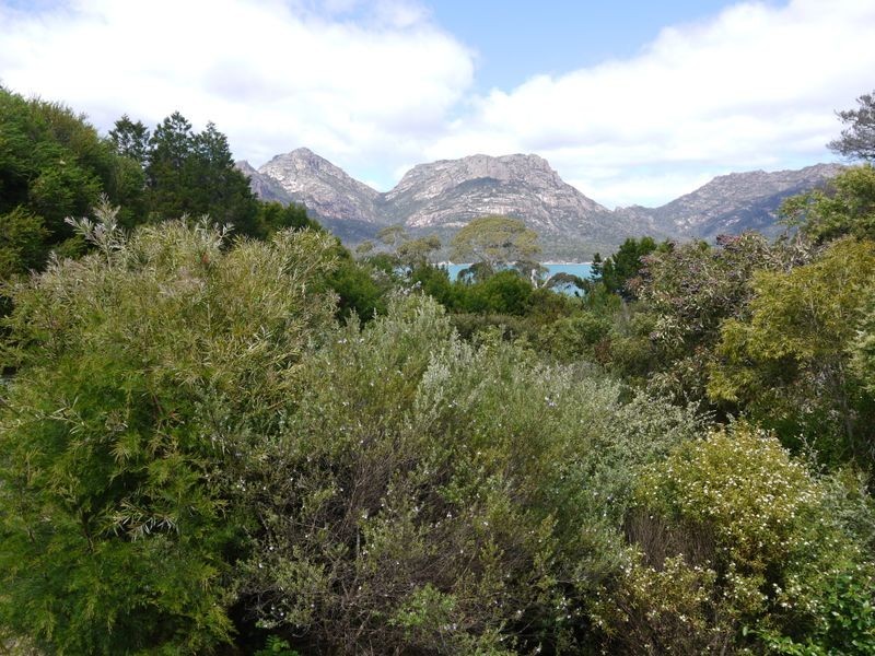 10 Oyster Bay Court, Coles Bay TAS 7215