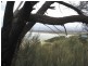 57 Hazards View Drive, Coles Bay TAS 7215