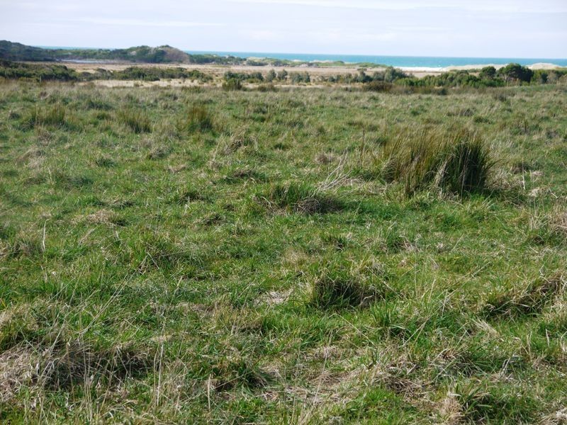 Lot 1 Champ Street, Seymour TAS 7215