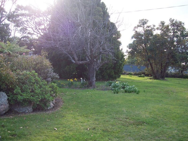 146 Tasman Highway, Bicheno TAS 7215