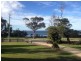 146 Tasman Highway, Bicheno TAS 7215