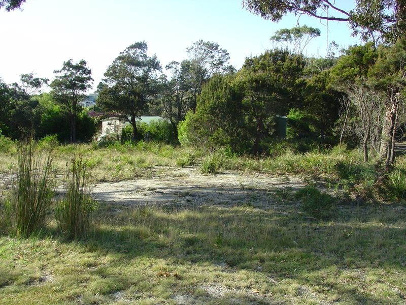 15 Rose Street, Bicheno TAS 7215