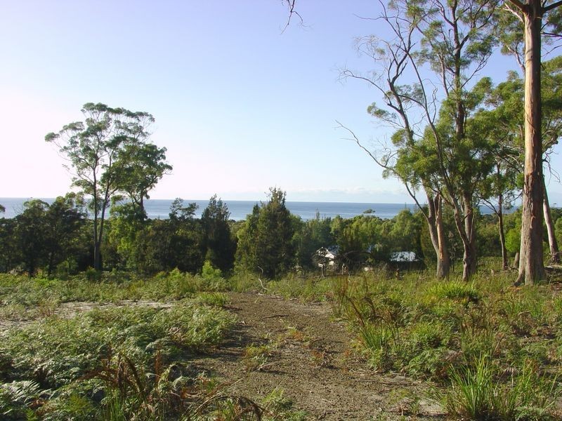 104 Harveys Farm Road, Bicheno TAS 7215