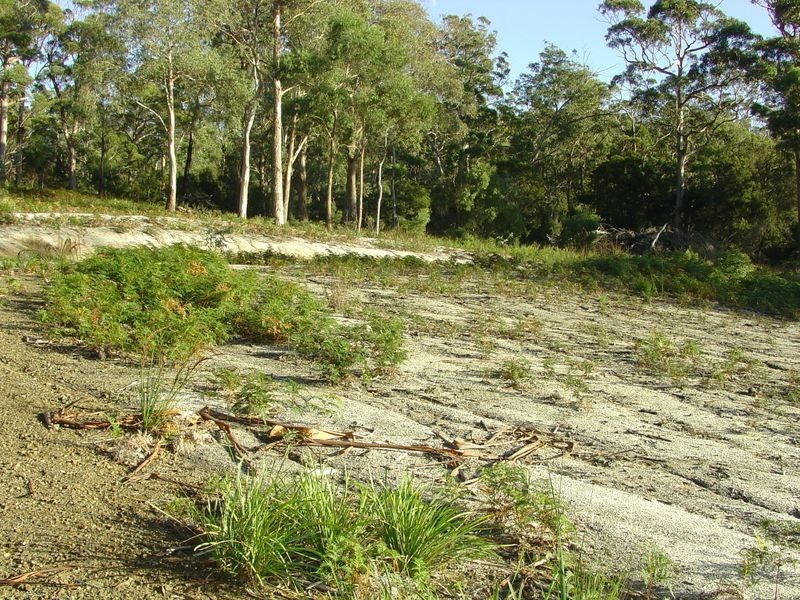 104 Harveys Farm Road, Bicheno TAS 7215