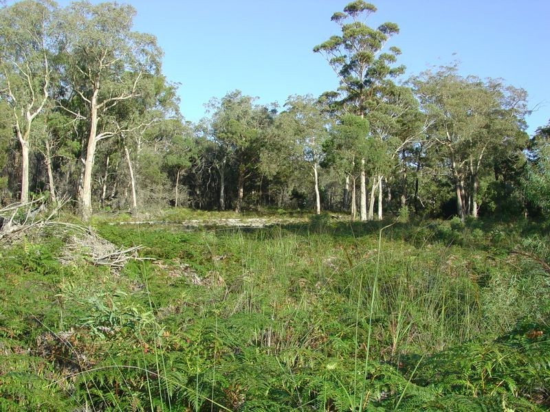 104 Harveys Farm Road, Bicheno TAS 7215