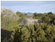 Lot 191 Dolphin Sands Road, Swansea TAS 7190