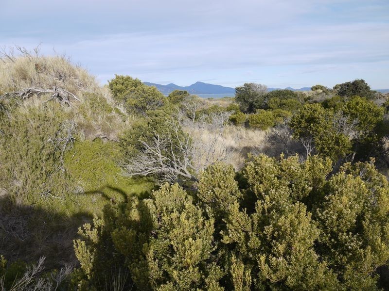 Lot 191 Dolphin Sands Road, Swansea TAS 7190