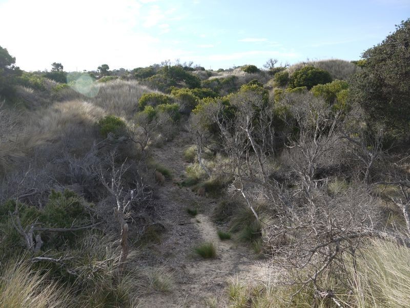 Lot 191 Dolphin Sands Road, Swansea TAS 7190