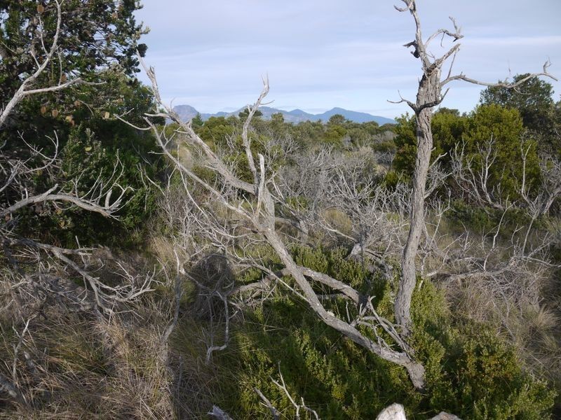 Lot 191 Dolphin Sands Road, Swansea TAS 7190