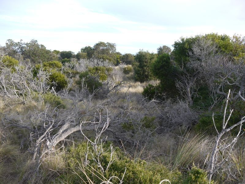 Lot 191 Dolphin Sands Road, Swansea TAS 7190