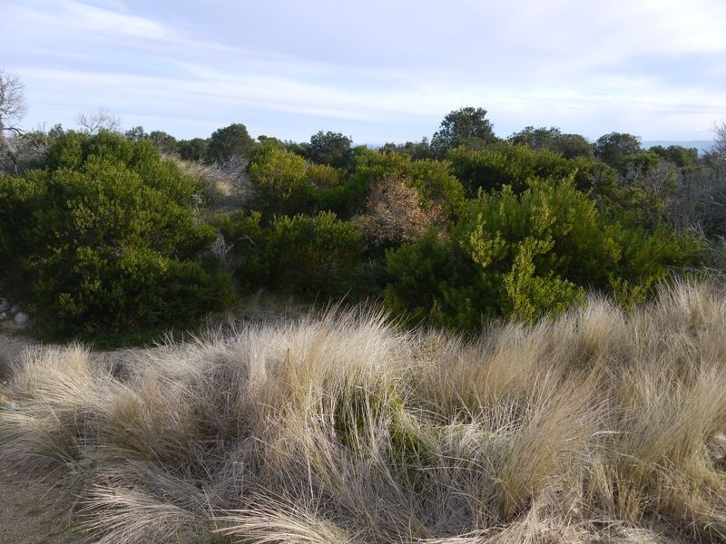 Lot 191 Dolphin Sands Road, Swansea TAS 7190