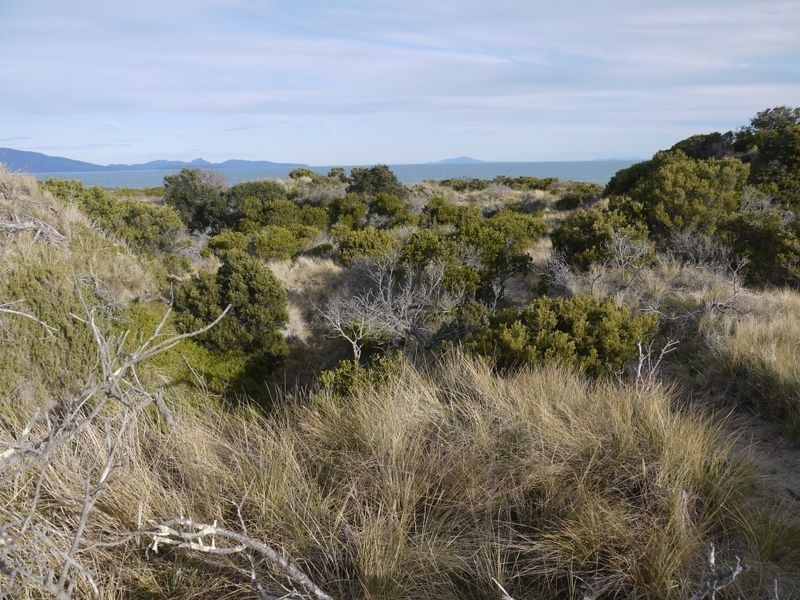 Lot 191 Dolphin Sands Road, Swansea TAS 7190