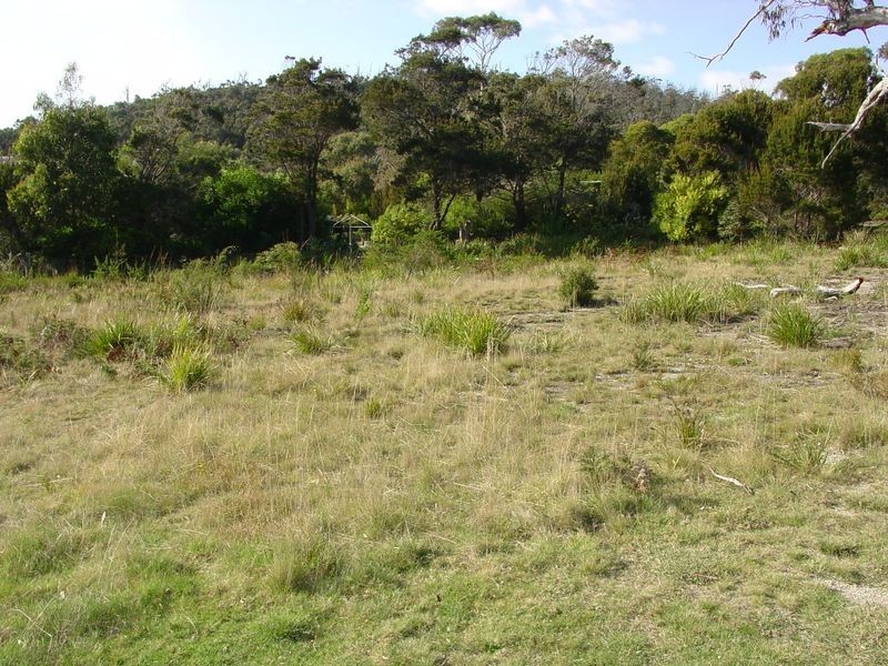 13 Rose Street, Bicheno TAS 7215
