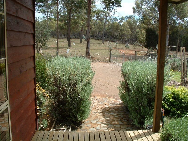 719 Old Coach Road, Swansea TAS 7190